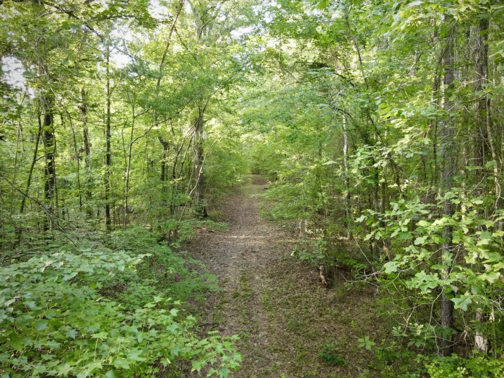 Picture 16