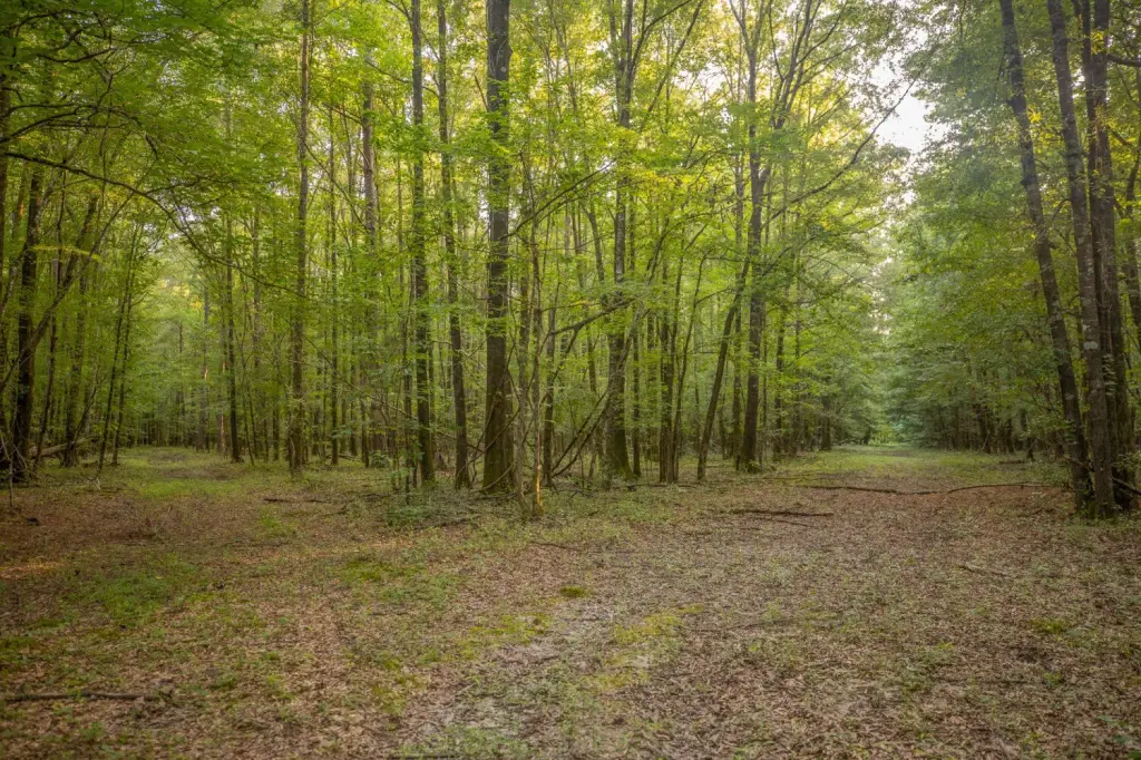 Picture 22