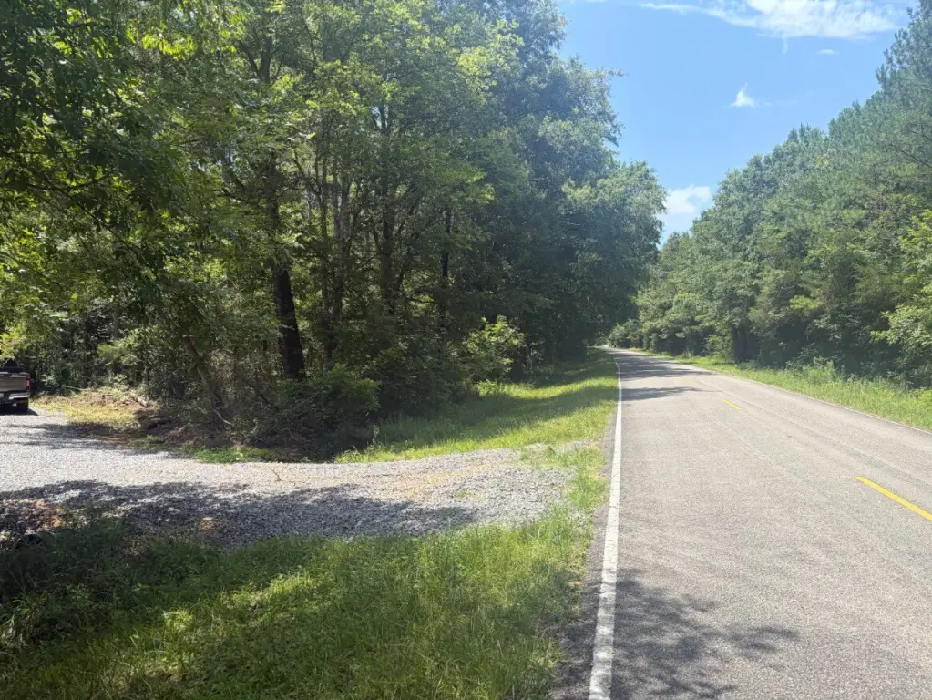 Picture 18