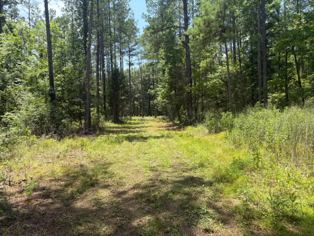 Picture 3