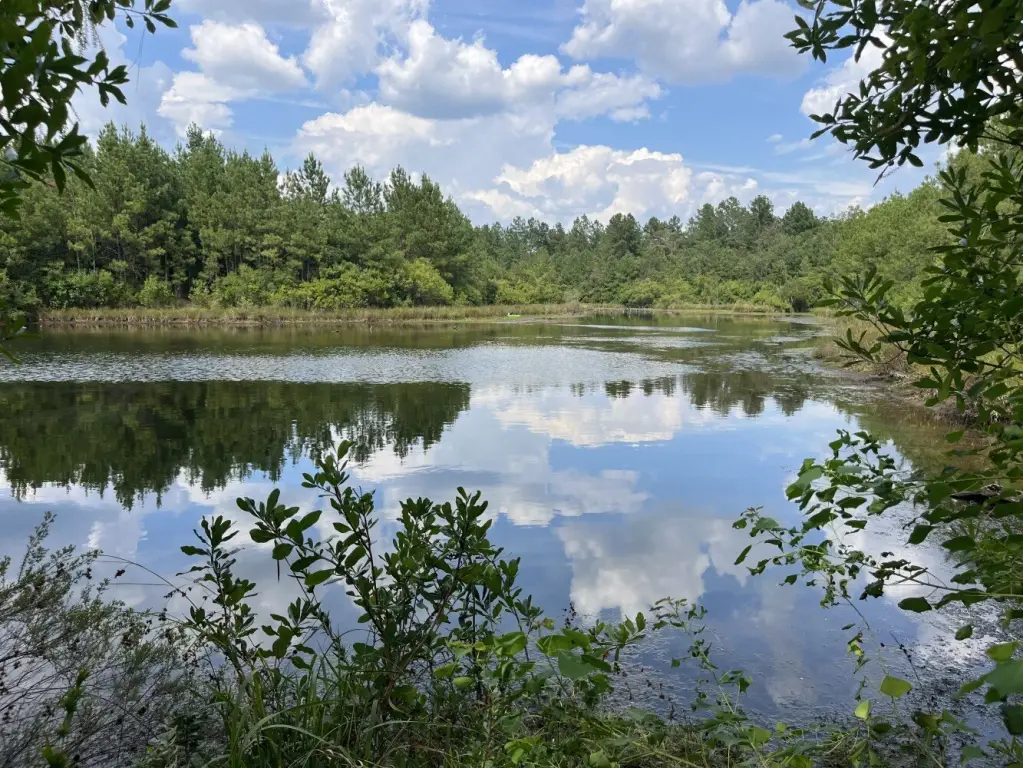 Picture 23