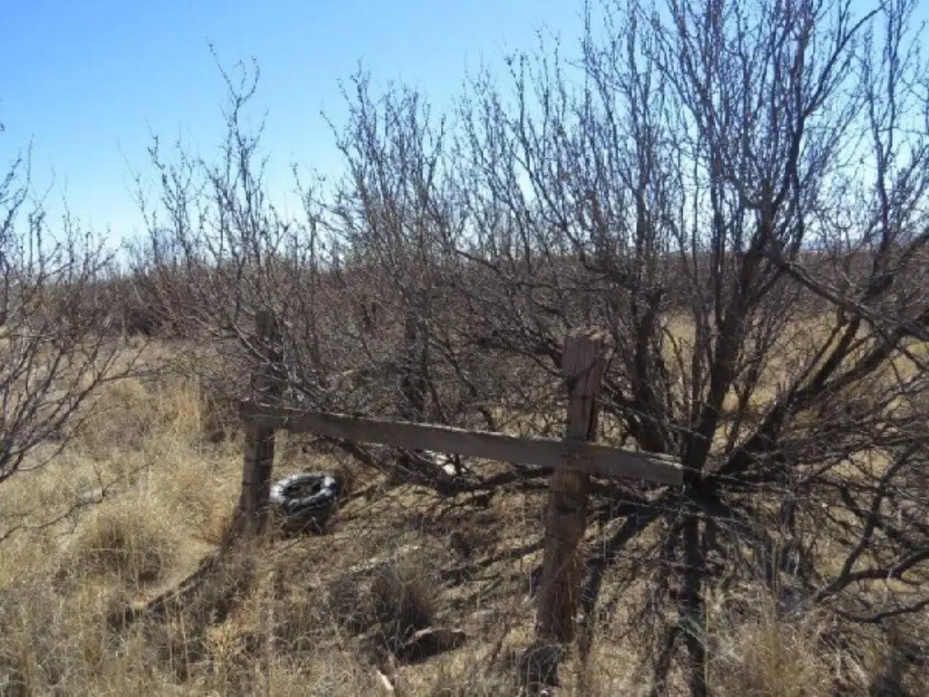 Picture 5