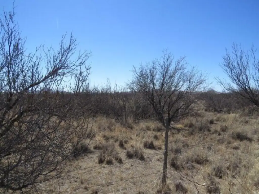 Picture 7