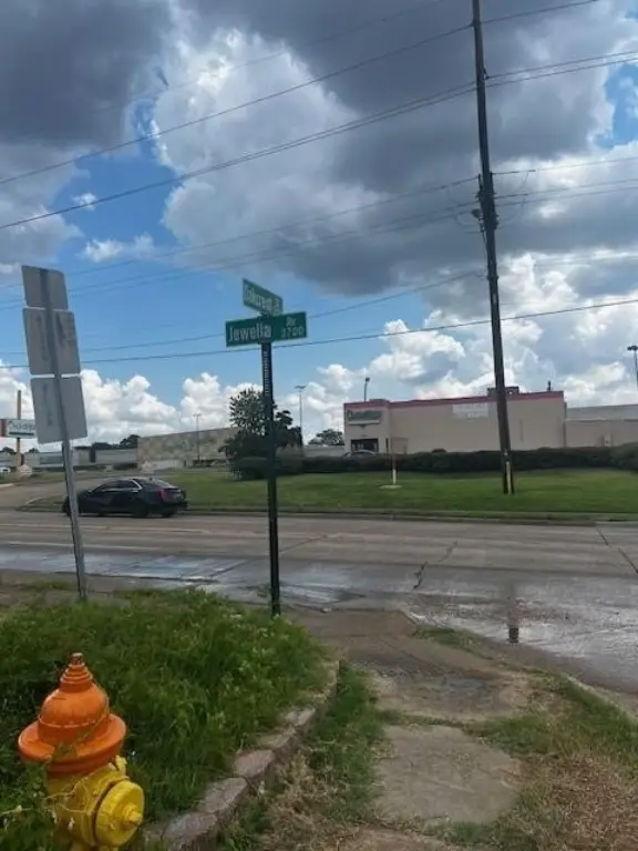 Picture 3