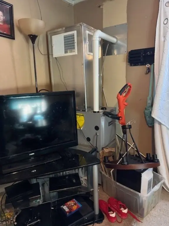 Picture 19