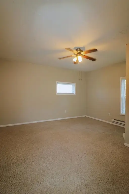 Picture 7