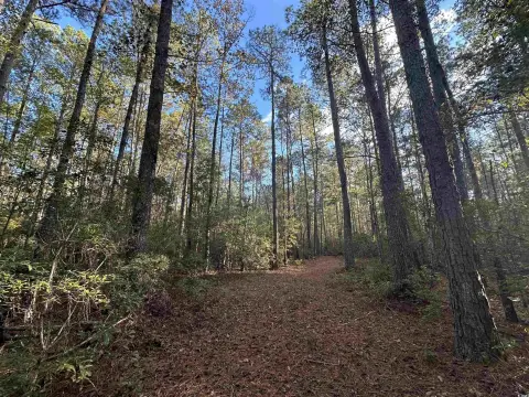 92.5 AC Hunting Tract