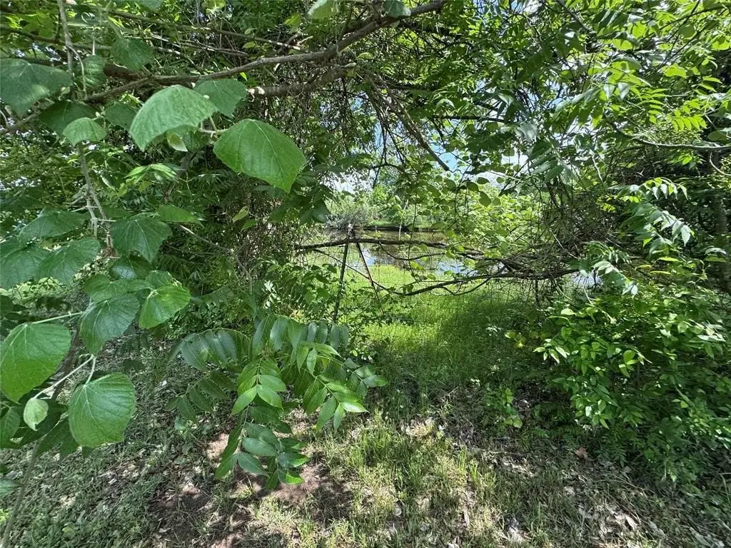 Picture 19