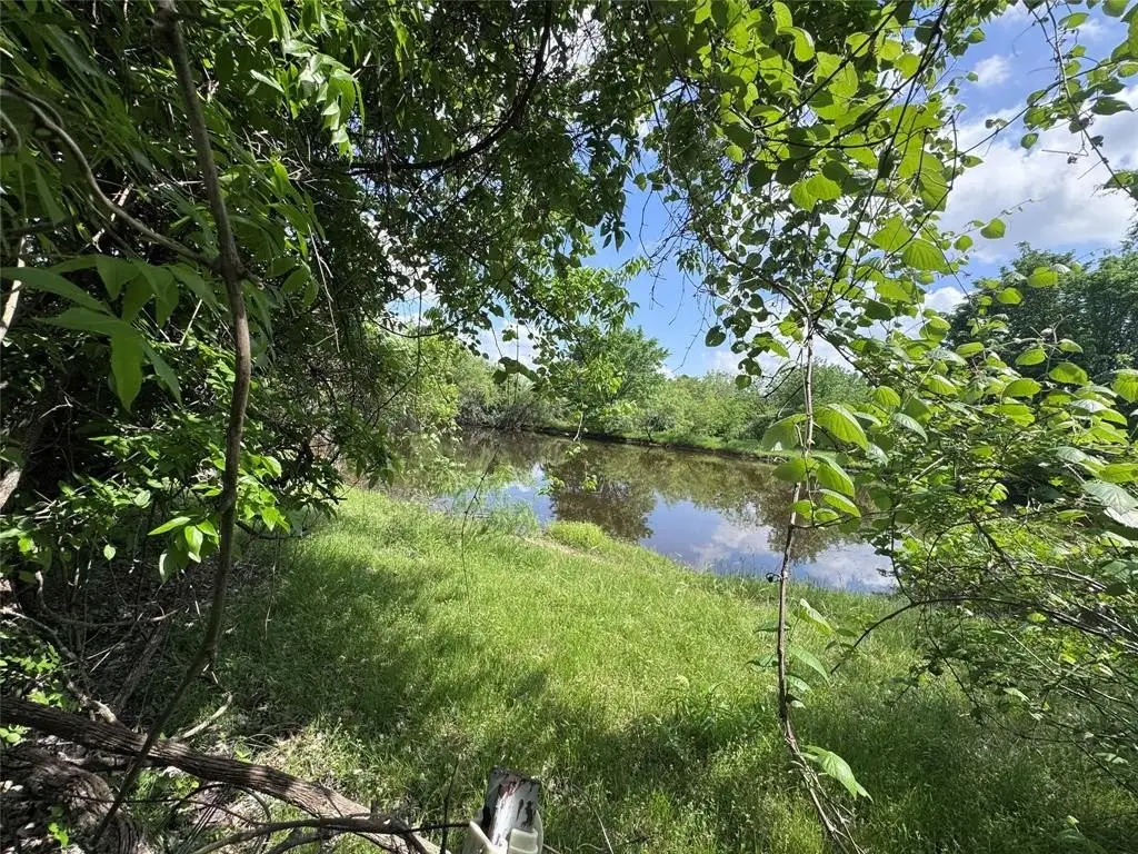 Picture 20