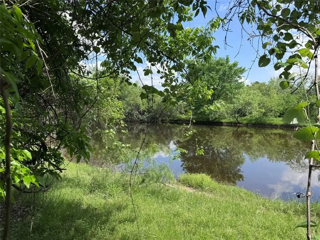 Picture 21