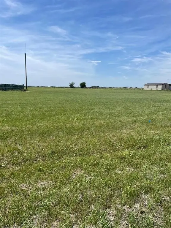 Picture 19