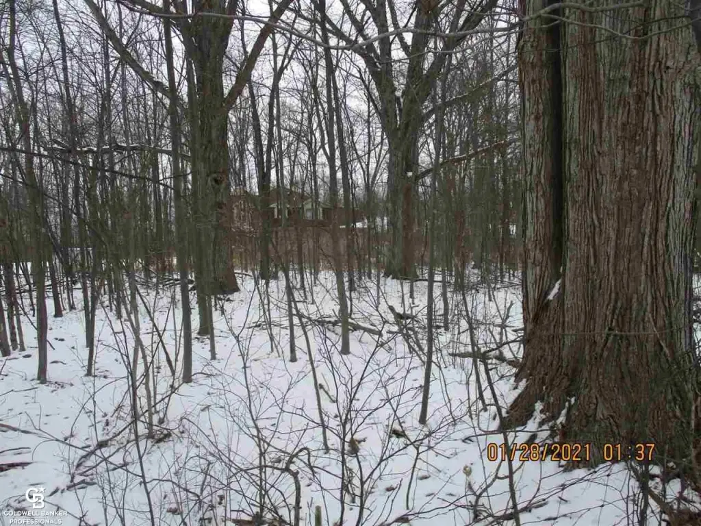 Picture 11