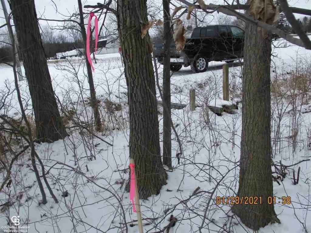 Picture 12