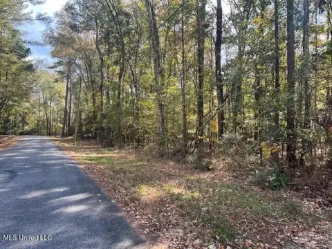 Pelahatchie Wooded Land For Sale