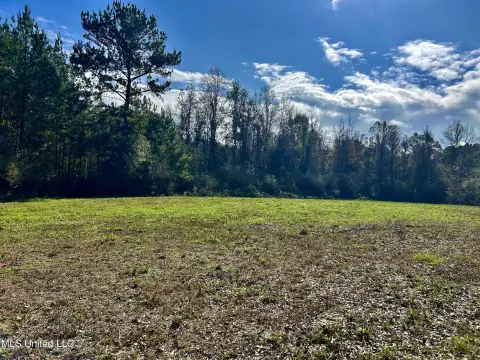 Brookhaven Land for Homesite, Hunting