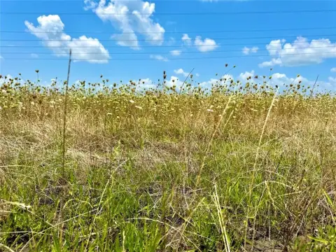 Land Ready for Development