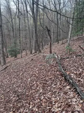 Lake Lure Land For Sale