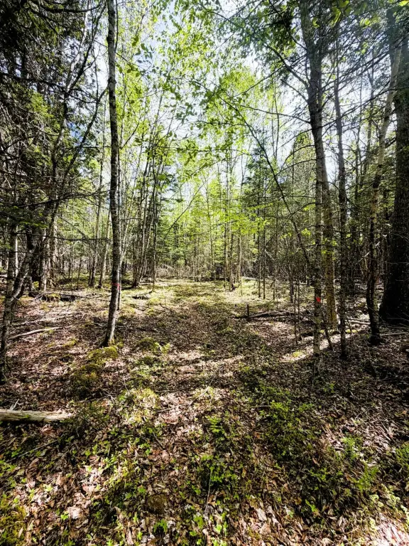 Picture 7