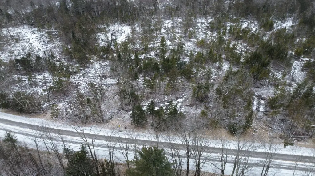 Picture 18