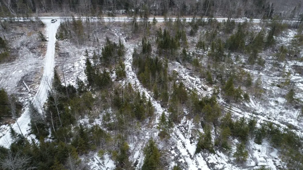 Picture 13