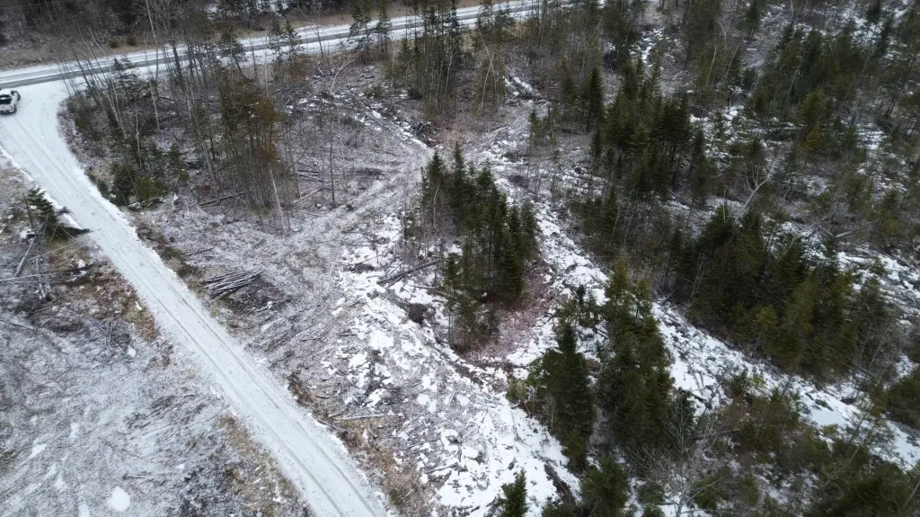 Picture 12