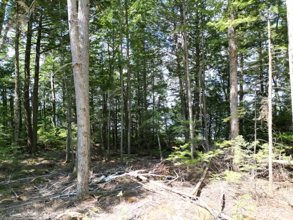 Picture 4