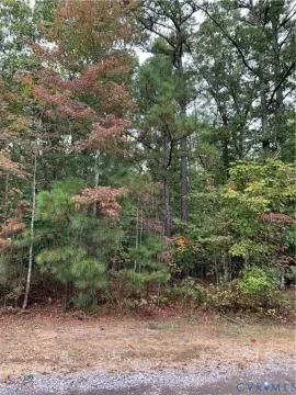 Disputanta, VA Wooded Lot