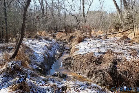 Recreational Land Near Buggs Island