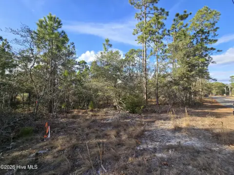 Southport, NC Land For Sale