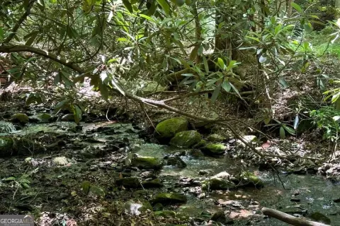 Scenic Lot in Hayesville, NC