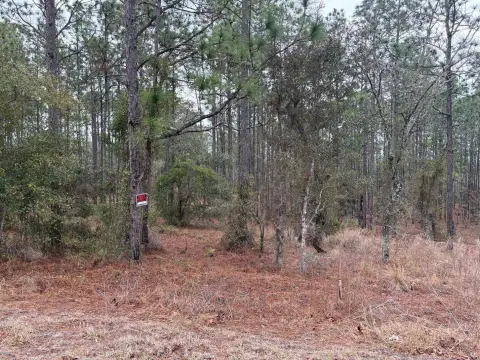 20 Acres Wooded Land