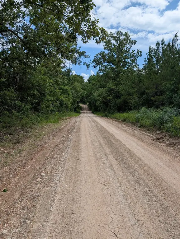 Picture 2