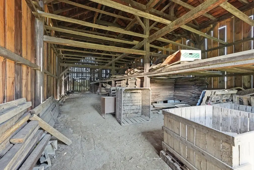 Picture 37