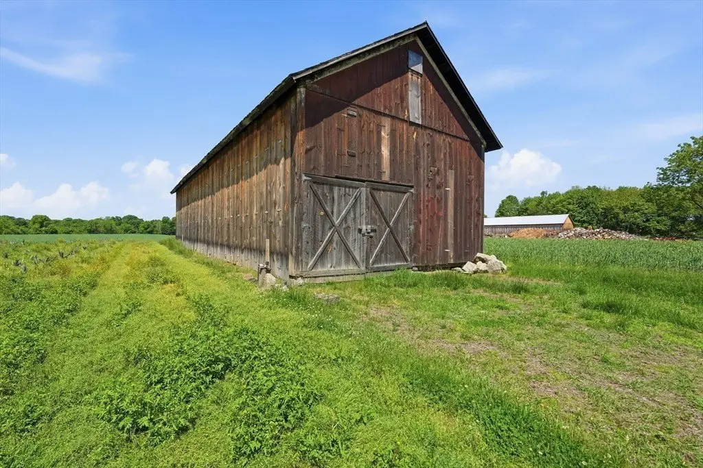 Picture 36
