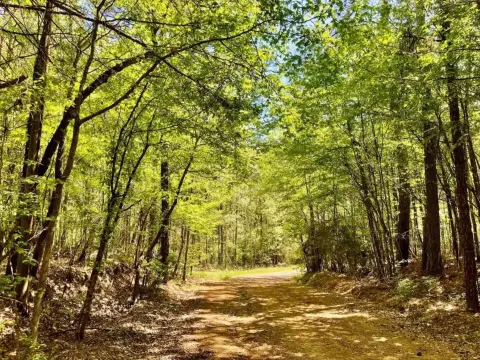 36 Acres of Natural Land