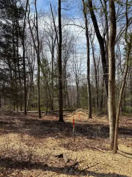 Roxbury Residential Land Opportunity
