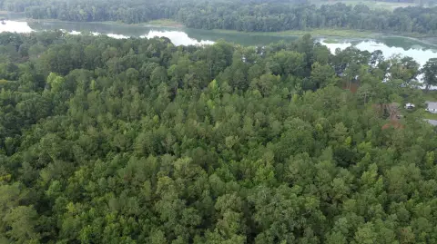 Wooded Recreational Land