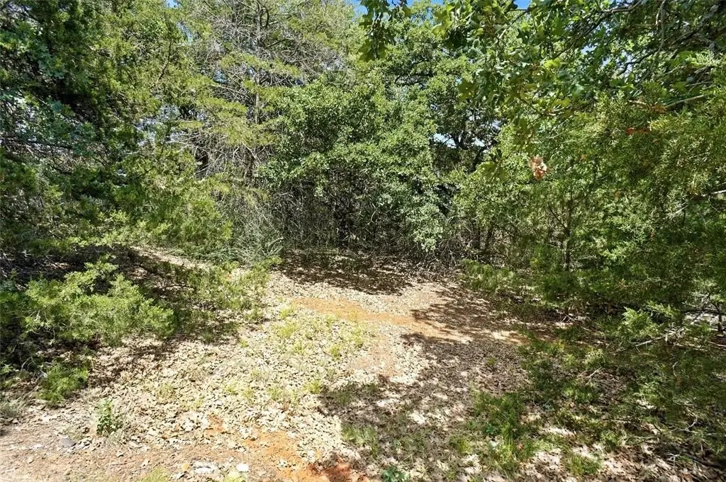 Picture 16