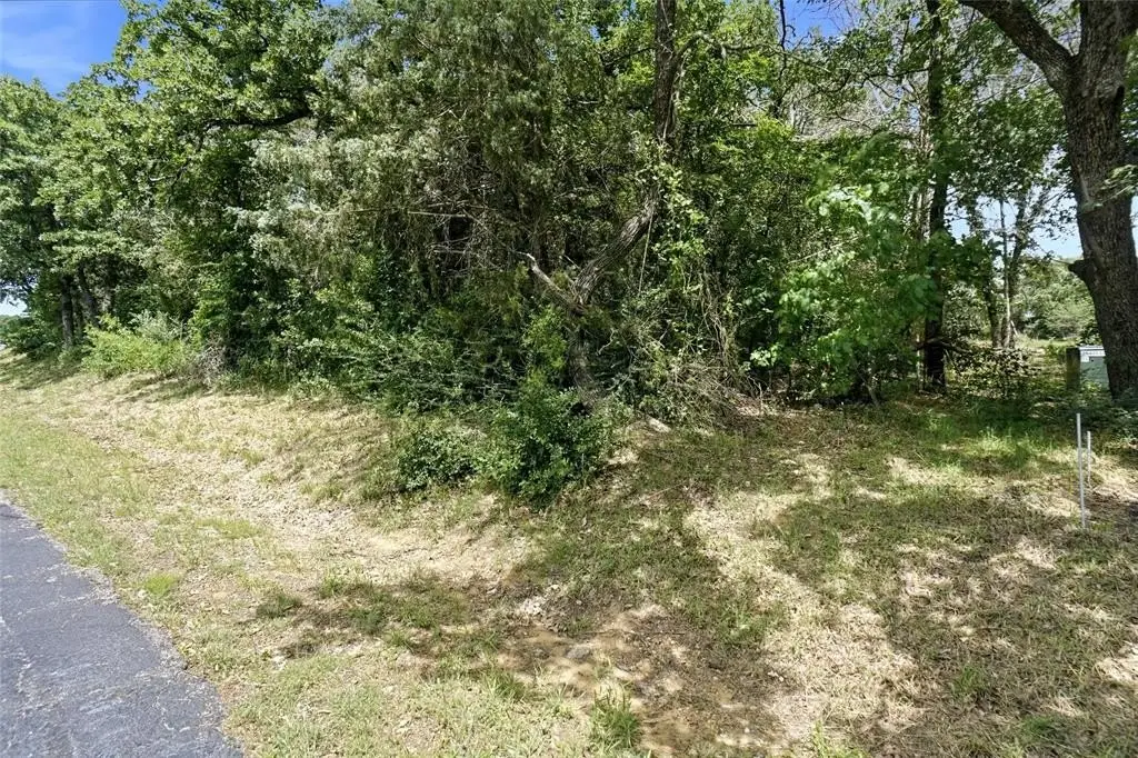 Picture 12