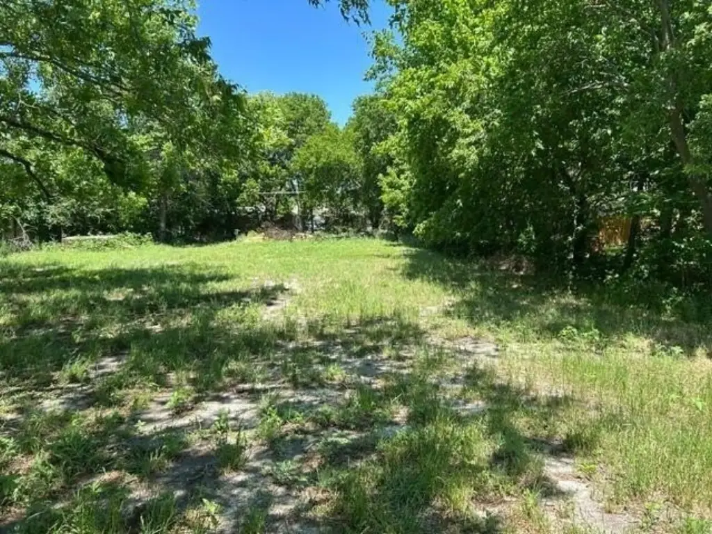 Picture 3