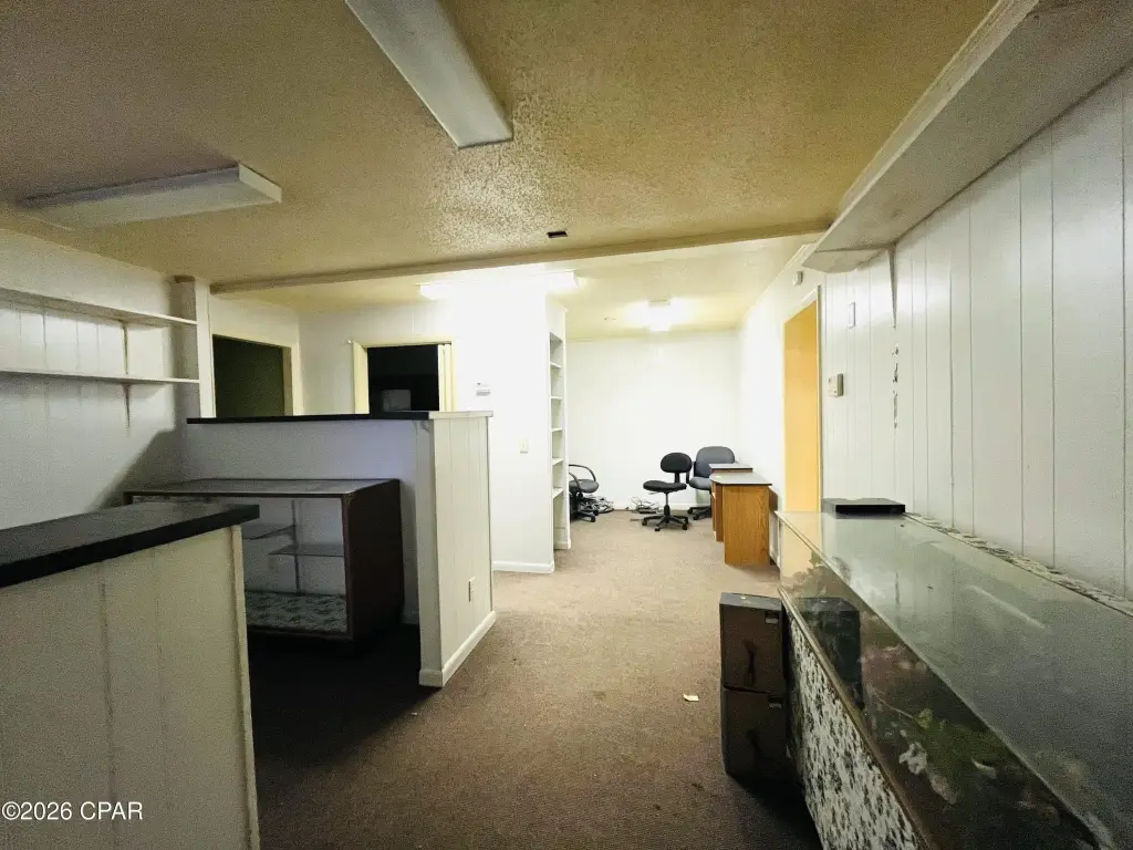 Picture 11