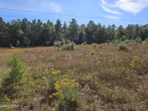 5.5 Acres in Defuniak Springs