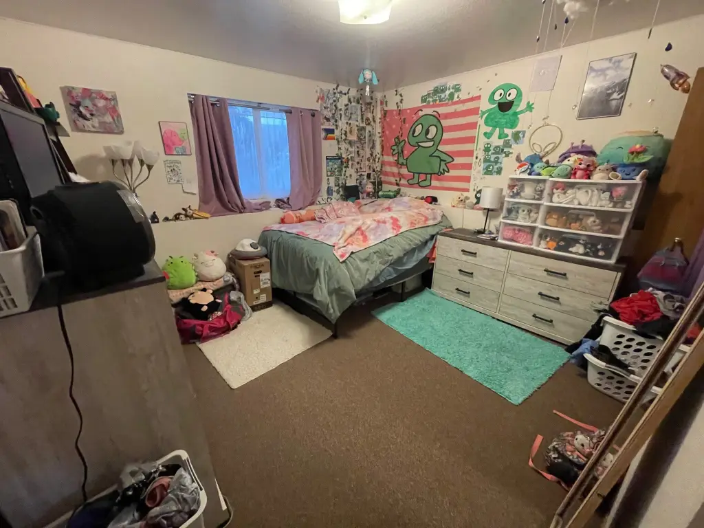 Picture 12