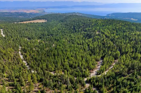 Montana Land with Lake Views