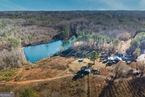 25 Acre Georgia Farm Ready