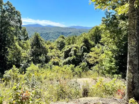 Mountain Retreat Land For Sale