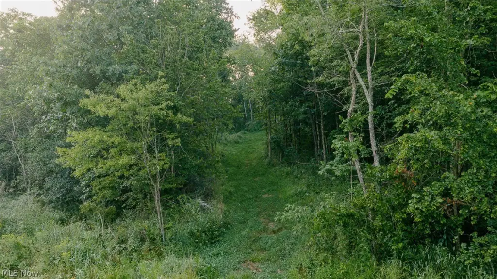 Picture 8