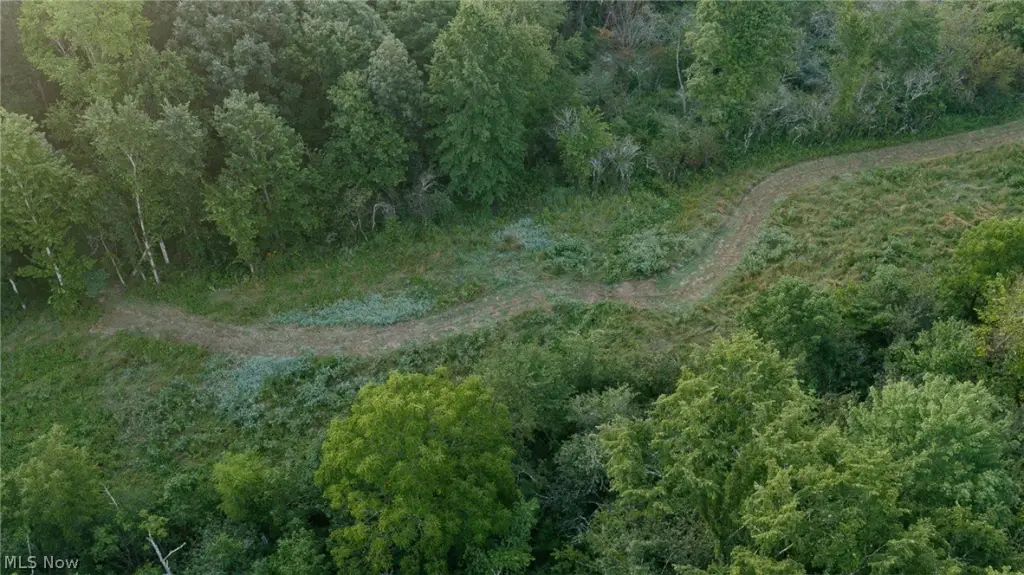 Picture 7
