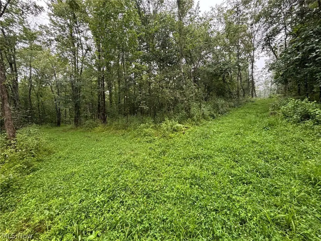 Picture 21