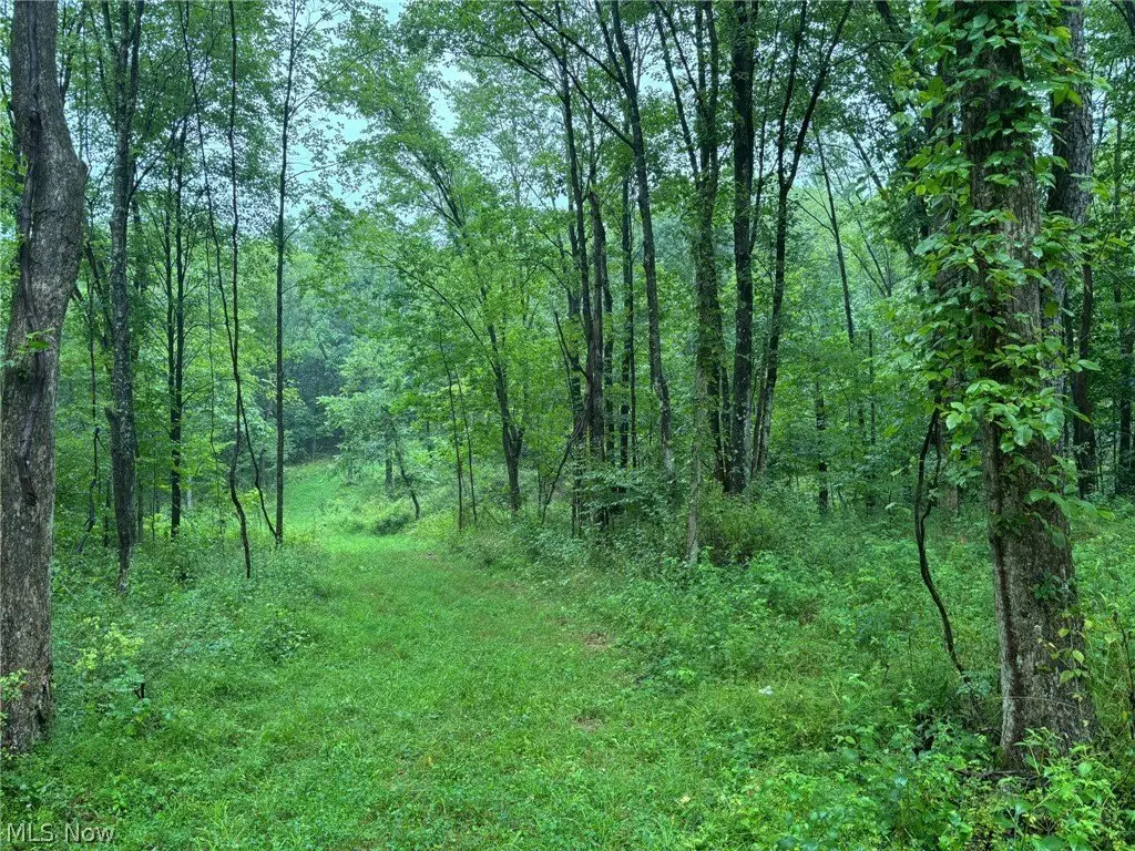 Picture 14